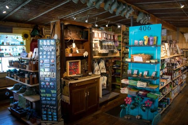 DSC 0184 e1532221184455