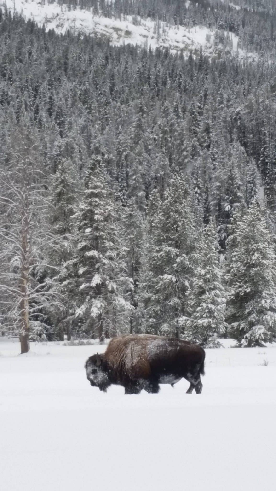 20210105 092644 scaled