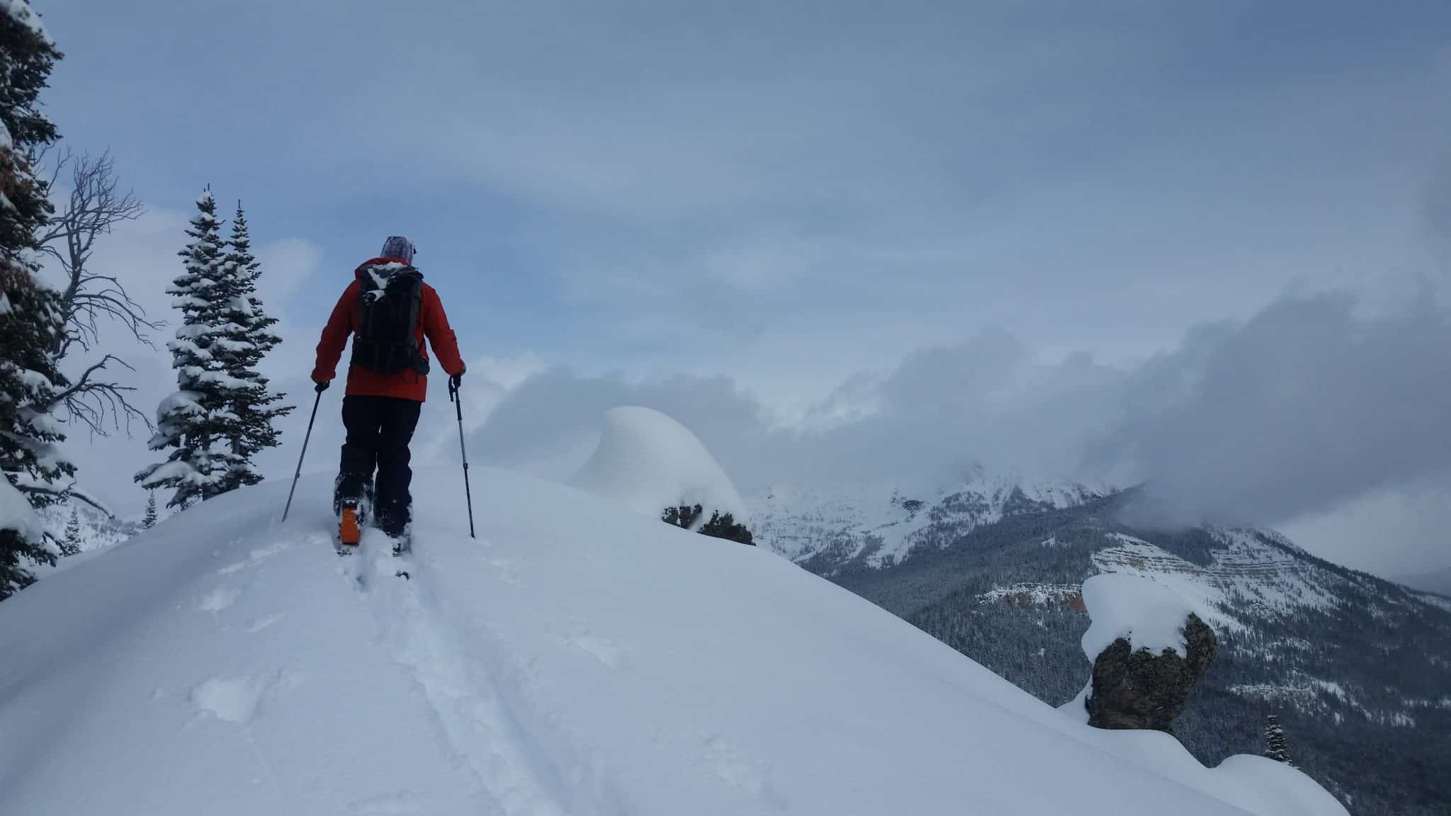 20210220 125804 scaled