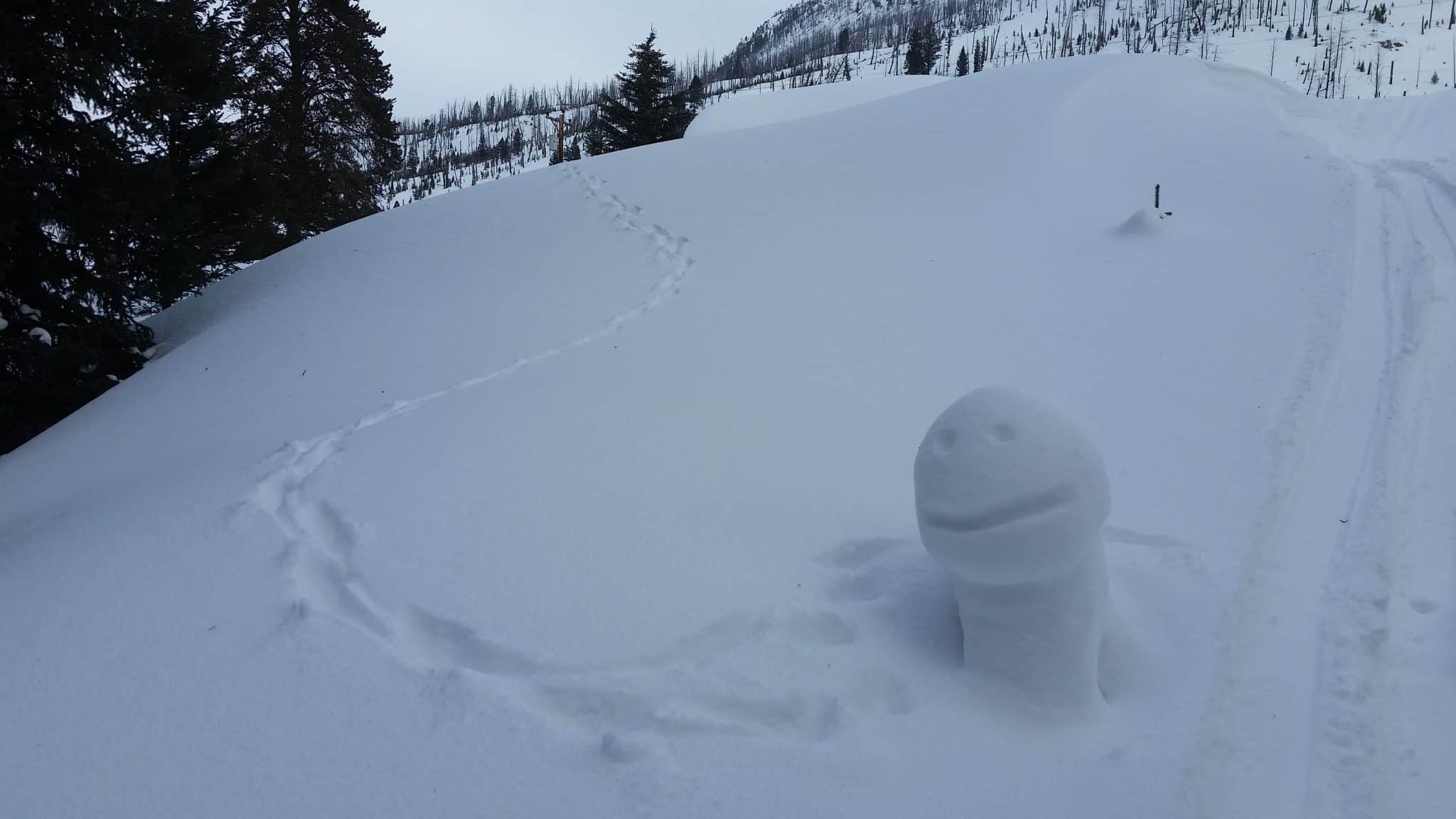 20210224 081425 scaled