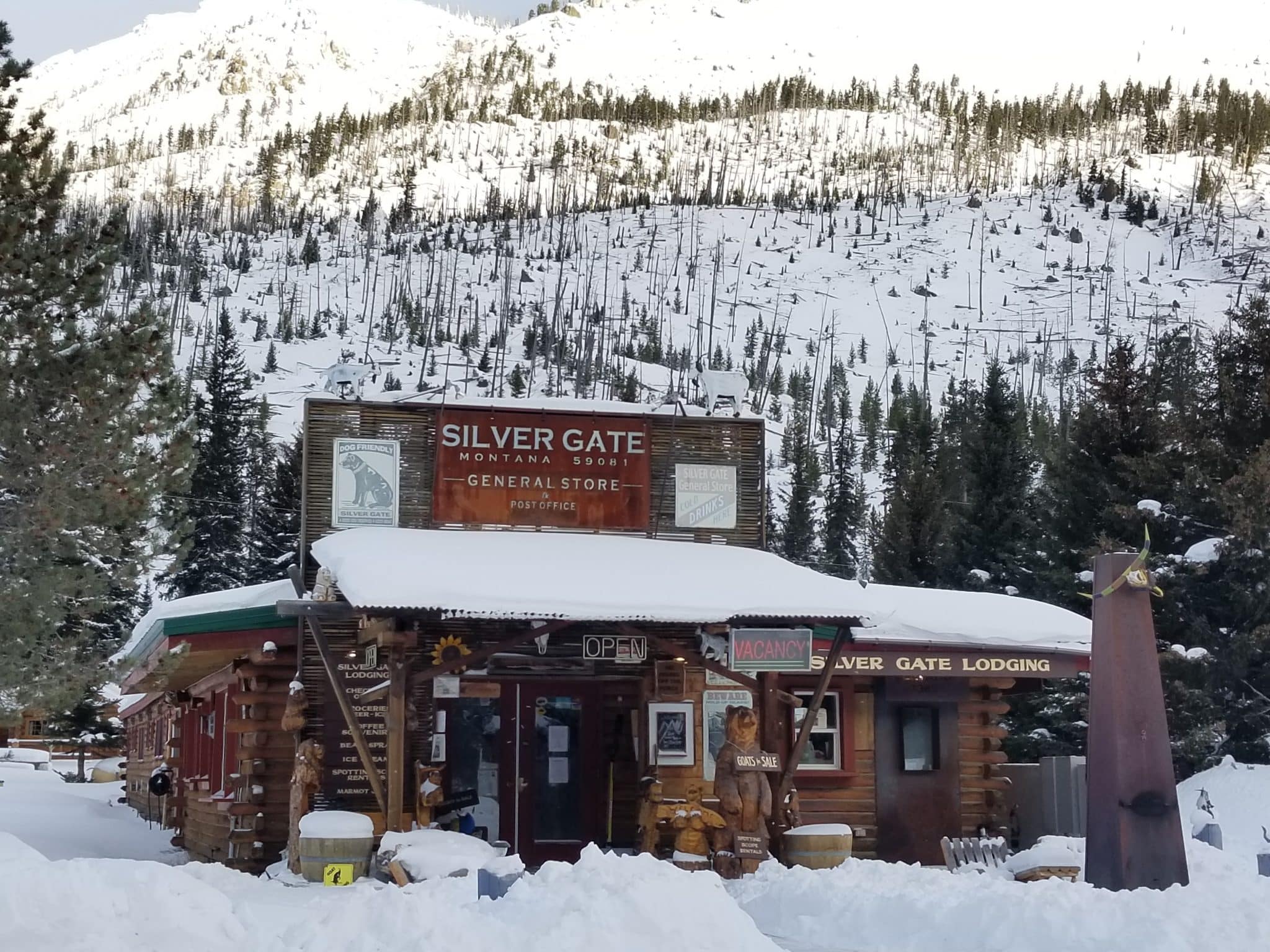 20221203 084145 1 scaled