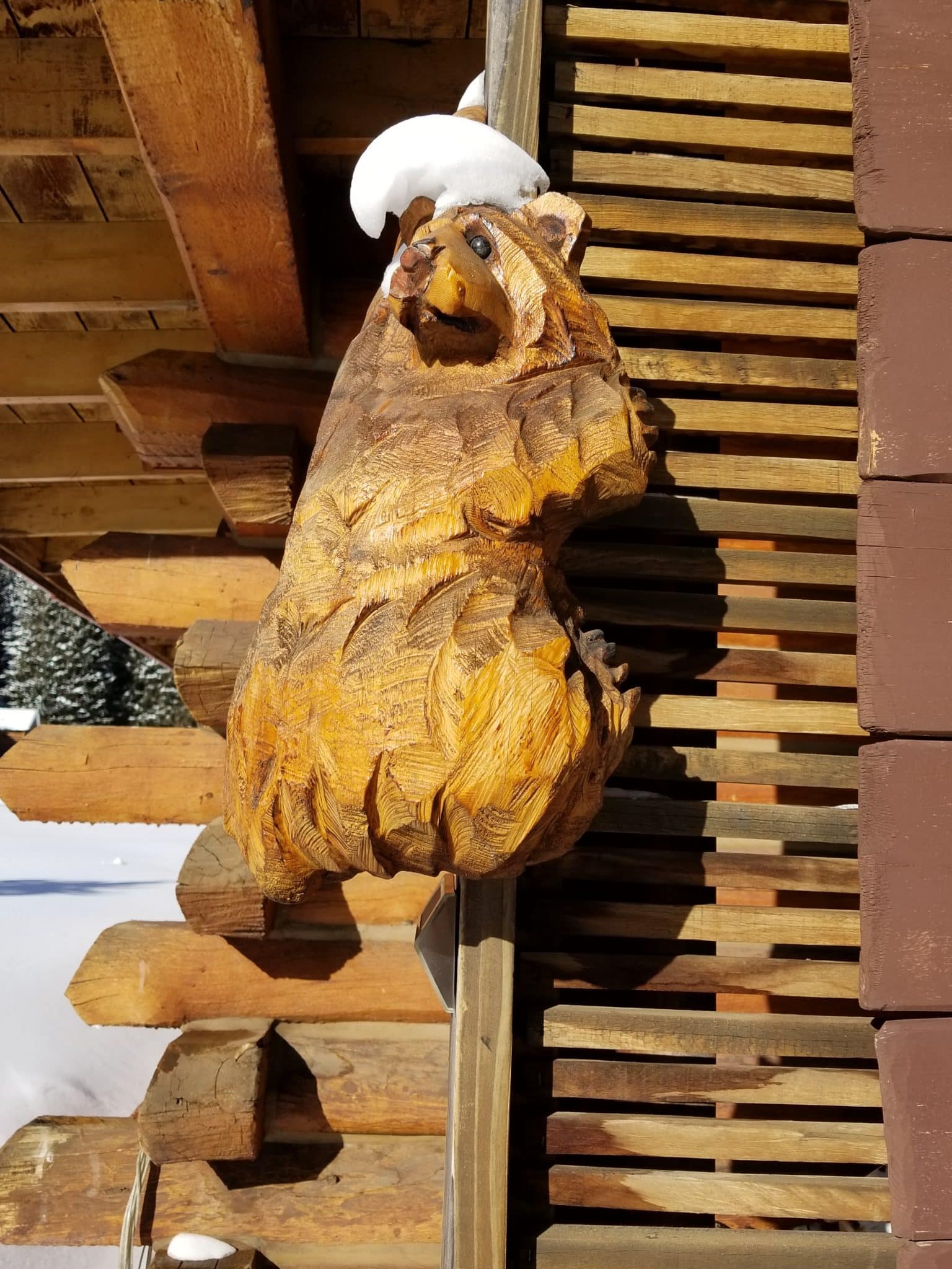 20221203 121426 scaled