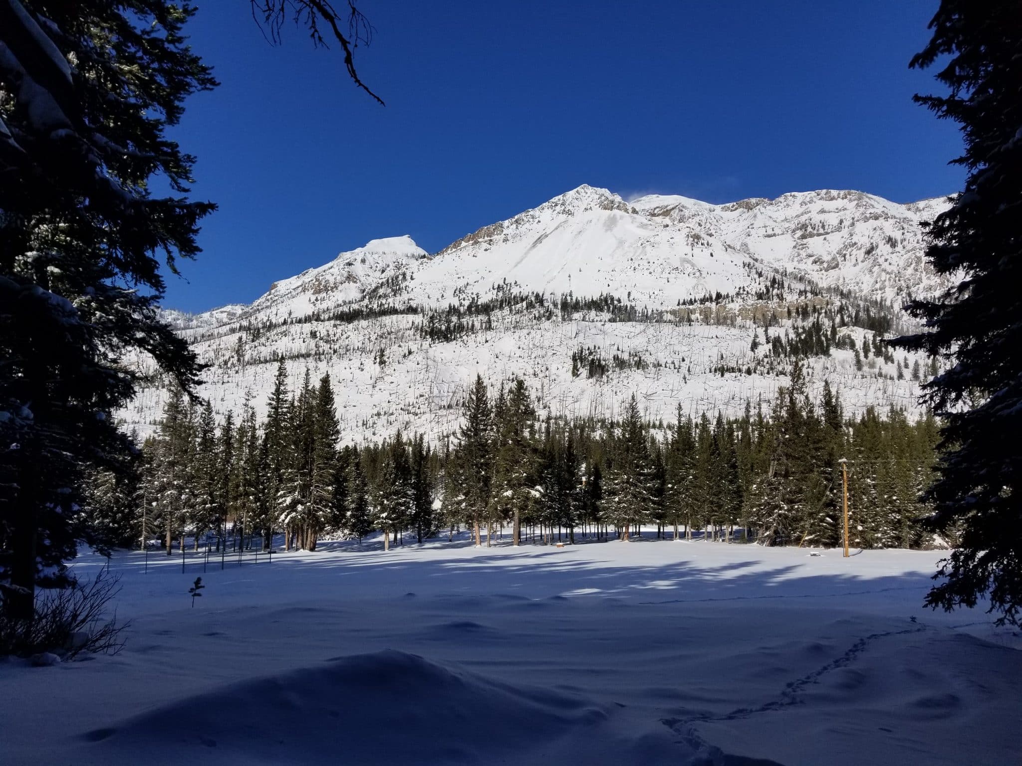 20221203 123214 scaled