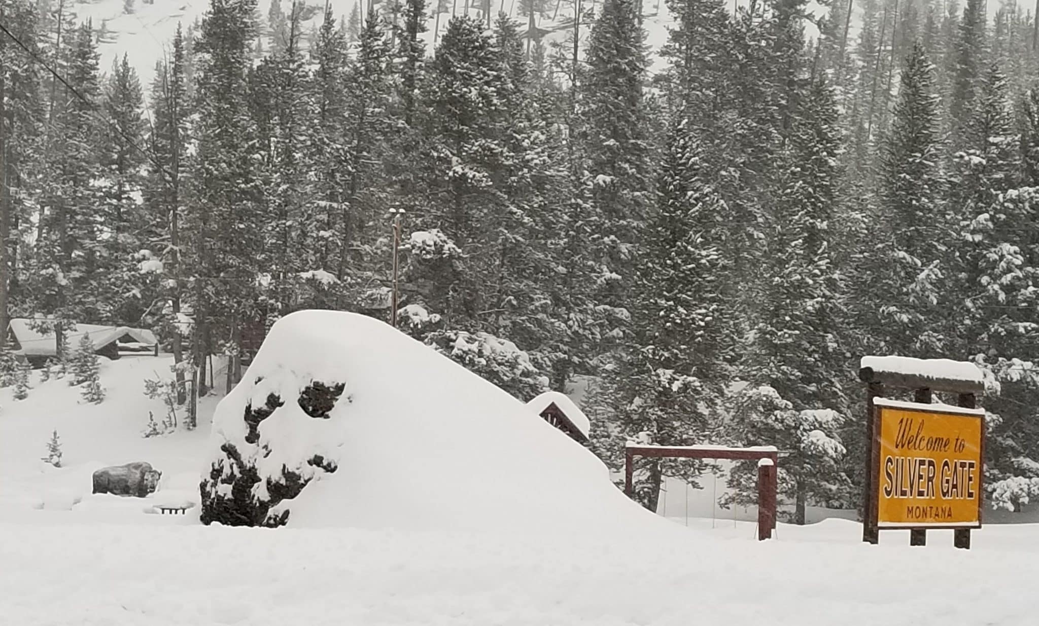 20221205 080518 2 scaled