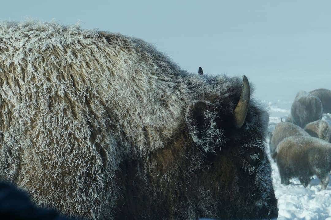 IMG 20200205 093312 234