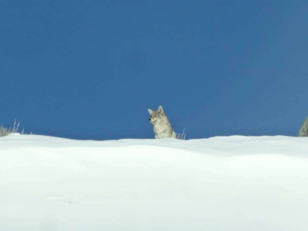 IMG 20200205 093312 235