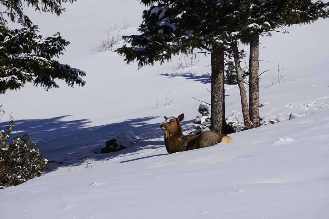 IMG 20200205 093312 253