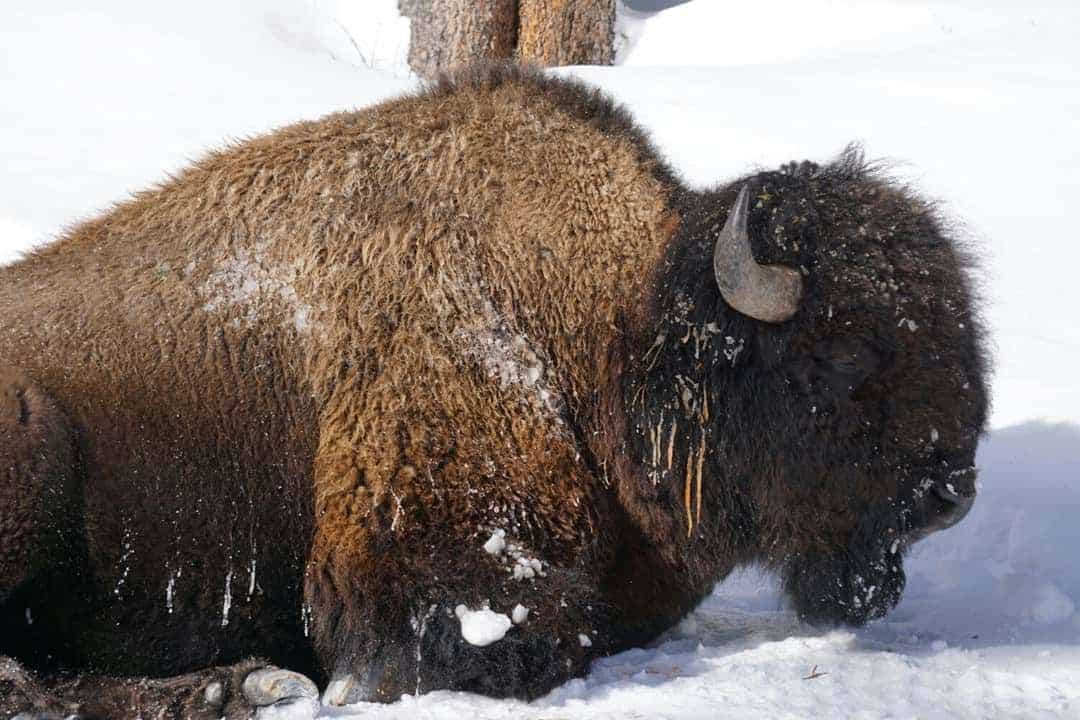 IMG 20200210 091134 934